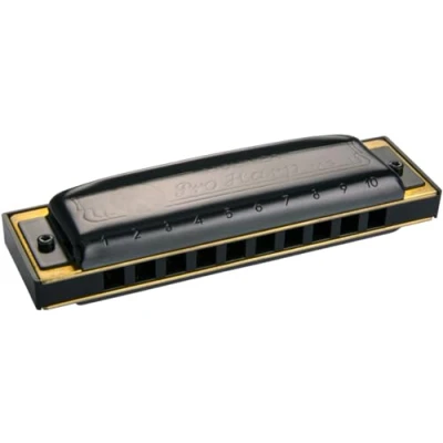Immagine di HOHNER Pro Harp 56220 E Harmonica in MI Tone