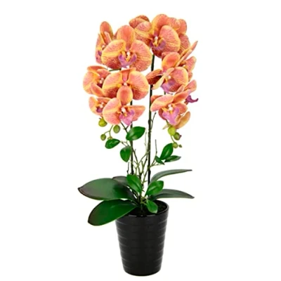 Immagine di orchidea artificiale, 58 cm, in vaso, orchidea, phalaenopsis, pianta artificiale come vera decorazione per matrimoni, fiori di seta, reali