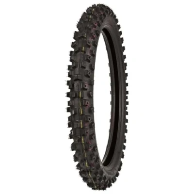 Immagine di Bridgestone Battlecross X20 70/100 R19 42M auto Pneumatici estivi 18840
