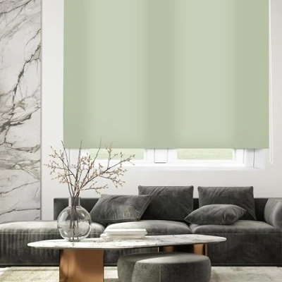 Immagine di Blindecor Ara Tenda a rullo traslucida tinta unita Verde pastello, 140 x 175 cm (Larghezza Altezza) Dimensioni del tessuto 137 170 per interne