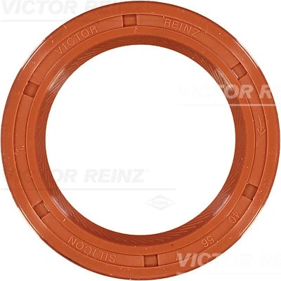 Immagine di REINZ 81 21087 20 Paraolio Albero a Camme