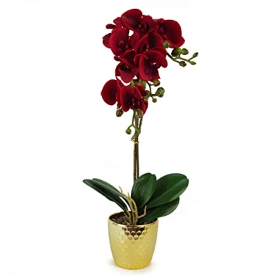 Immagine di Leaf Design UK Orchidea artificiale realistica in vaso