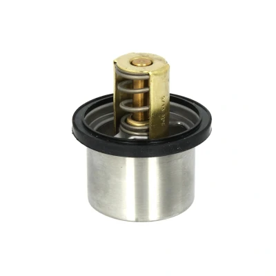 Immagine di WAHLER 4619.82 Termostato motore 82 con guarnizione
