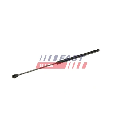 Immagine di FAST FT94809 Pistoncini portellone 810N 648mm FORD: Transit Custom V362 Van