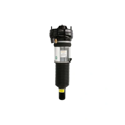 Immagine di Arnott AS 2864 Gamba elastica con ammortiz. pneumatico anteriore AUDI: A8 D4