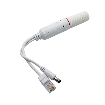 Immagine di Active 48V A 12V Impermeabile PoE Splitter IEEE 802.3af 10/100Mbps Power Over Ethernet Adattatore Per Telecamera IP