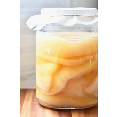 Immagine di Kombuchaorganic® Unique Cultures SCOBY per Kombucha biologico, testato in laboratorio