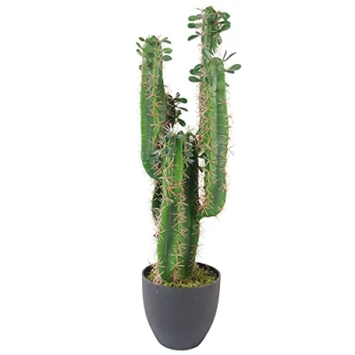 Immagine di LEAF 7281 Cactus artificiale con vaso, 75 cm