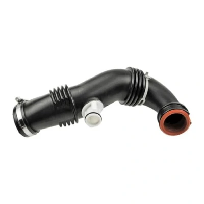 Immagine di VAICO V22 0734 Flessibile d&#039;aspirazione, Filtro aria PEUGEOT: 307 Hatchback, 206 207 CITROËN: C3 I C4 Picasso 1