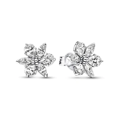 Immagine di Pandora Timeless Auricolari Argento 292633C01