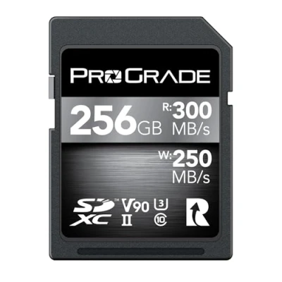 Immagine di Scheda di memoria tipo A ProGrade Digital SDCX UHS II V90 300R (256GB)
