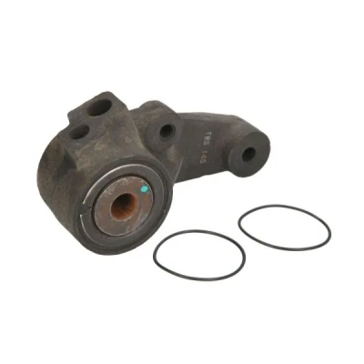 Immagine di Braccio tenditore, Cinghia Poly V BTA B05 AG 016