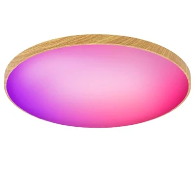 Immagine di Birnetek® Plafoniera LED Soffitto 30W, Lampadario RGB Rotonda Dimmerabile, 2200LM, 2700K 6500K, Compatibile con Alexa, Controllo APP, Telecomando, per Camere da letto, Soggiorni, Venatura Del Legno