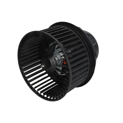 Immagine di Soffiante interna THERMOTEC DDG015TT