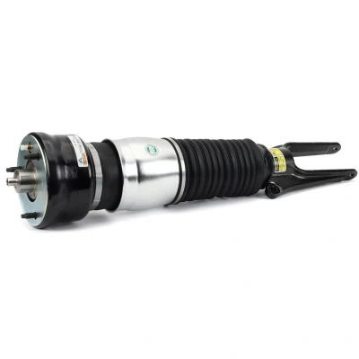 Immagine di Arnott AS 3376 Gamba elastica con ammortiz. pneumatico anteriore Dx
