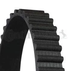 Immagine di CONTITECH CT555 Cinghia Distribuzione 113 19