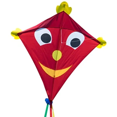 Immagine di CIM Grande aquilone SUPER DRACHEN Happy Eddy XL monofilo per bambini a partire da 6 anni 102x108 cm comprende corda 80 m e coda strisce