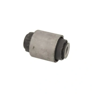 Immagine di DELPHI TD1655W Silent Block