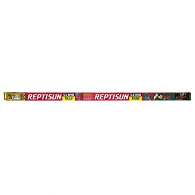 Immagine di Zoomed T6016754 Lampada Reptisun