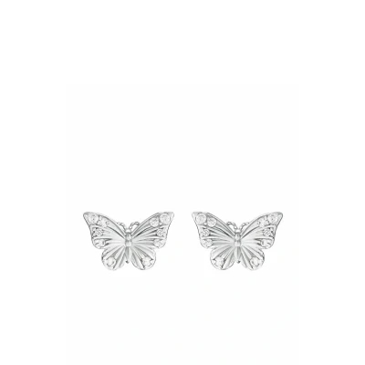 Immagine di amor Orecchini a perno in Argento 925 da Donna, con zirconi sintetici, 0,6 cm, Argento, farfalla, Fornito confezione regalo per gioielli
