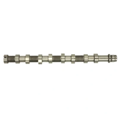 Immagine di AE CAM999 Albero a Camme FORD: FIESTA 5, Fusion Station Wagon, 6 Van, CITROËN: C3 II, I Hatchback