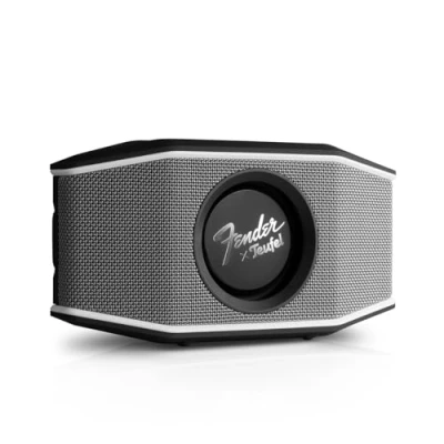 Immagine di Fender x Teufel ROCKSTER GO 2 Altoparlante Bluetooth Portatile impermeabile IP67 per esterni, con Batteria di lunga durata (28 ore), streaming musicale wireless, scheda audio USB Steel Black