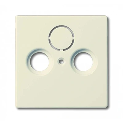 Immagine di Busch Jaeger, Programma di commutazione degli accessori, Disco centrale