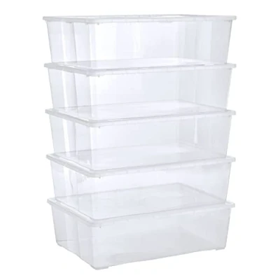 Immagine di Grizzly scatole 5 x 25 L grandi con coperchio trasparente trasparenti impilabili ventilazione
