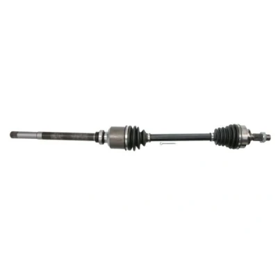 Immagine di Albero motore/Semiasse PASCAL G2C067PC
