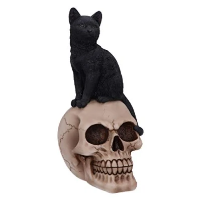 Immagine di Nemesis Now Familiar Fate Statuetta di Gatto e Teschio delle Streghe, 24,3 cm, Colore: Nero, Resina, 24.3cm