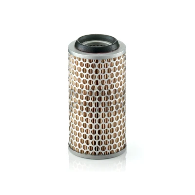 Immagine di MANN FILTER Piclon C 1043/1 filtro aria 173 95 Cartuccia