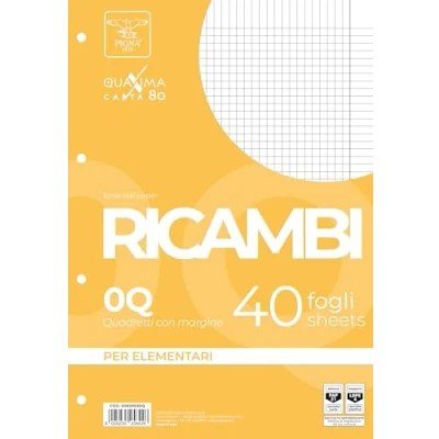 Immagine di Pigna, Confezione da 40 Ricambi con 4 fori per archiviazione, fogli f..to A4, 21x29,7, buchi senza rinforzo, 0Q, quadretti 5 mm. margine