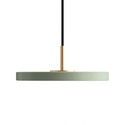 Immagine di UMAGE Asteria MicroV2 a sospensione dimming oliva