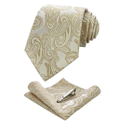 Immagine di JEMYGINS Cravatta Uomo Luce in Seta Paisley Design Diversi Colori cena di gala con Fazzoletto e Fermacravatta