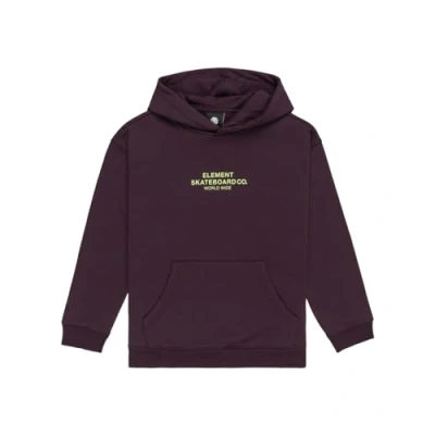 Immagine di Element Skateboard Felpa con cappuccio per bambini, Taglia: 176, Green