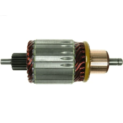 Immagine di AS PL SA0027 Ancorina, Starter