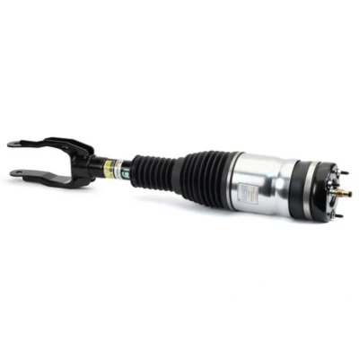 Immagine di Arnott AS 3290 Gamba elastica con ammortiz. pneumatico anteriore Sx