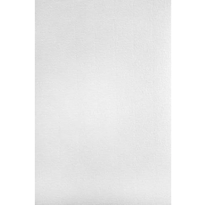 Immagine di Netuno 50 fogli di carta vergata bianca formato A4 210x 297 mm 120g Aster Laid White con filigrana per calligrafia brochure report aziendali editoria pregio inviti