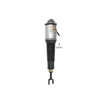 Immagine di Arnott AS 2777 Gamba elastica con ammortiz. pneumatico anteriore Dx AUDI: A8 D3