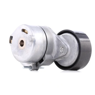 Immagine di RIDEX 541V0041 Tendicinghia FIAT: Qubo, Grande Punto Hatchback, II LANCIA: Ypsilon II, OPEL: Corsa D Hatchback