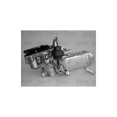 Immagine di VALEO ORIGINAL PART 700433 Modulo EGR RENAULT: SCENIC 3