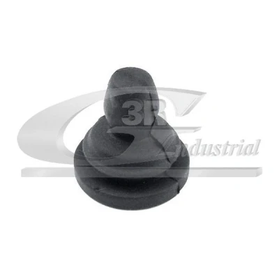 Immagine di 3RG 81652 Supporto, Carter filtro aria RENAULT: CLIO 2, Kangoo I Express, I, DACIA: Duster SUV