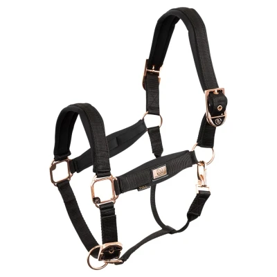 Immagine di BR Halter in oro rosa Shetland Nero