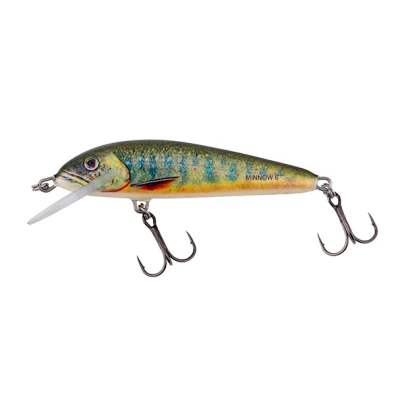 Immagine di Salmo minnow 6cm 4gr Floating 0,5 1m Lake Charr Esche artificiali
