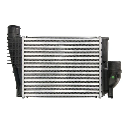 Immagine di NRF 309077 Intercooler CITROËN: Jumpy III Van