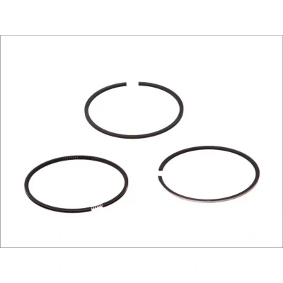 Immagine di GOETZE ENGINE 08 136500 00 Kit Fasce Elastiche 108