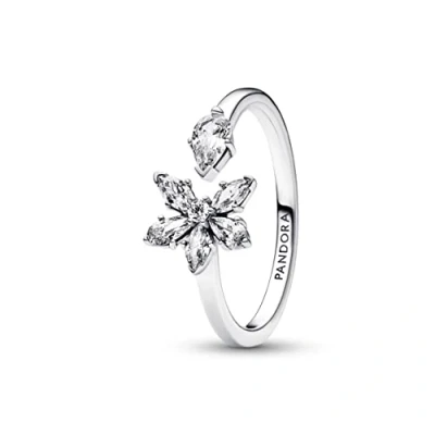 Immagine di Pandora Timeless Anello Argento 192611C01 52