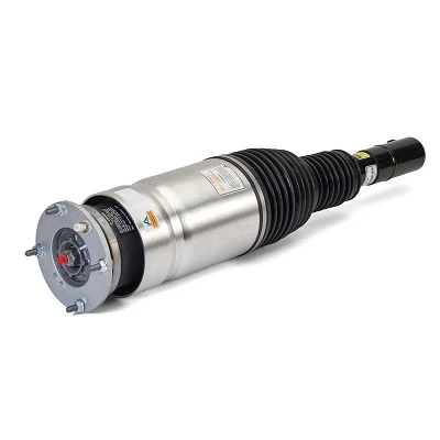 Immagine di Arnott AS 3205 Gamba elastica con ammortiz. pneumatico anteriore Sx