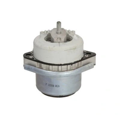 Immagine di FEBI BILSTEIN 102698 Supporto motore bilaterale idraulico con aletta paraspruzzi BMW: X6, X5