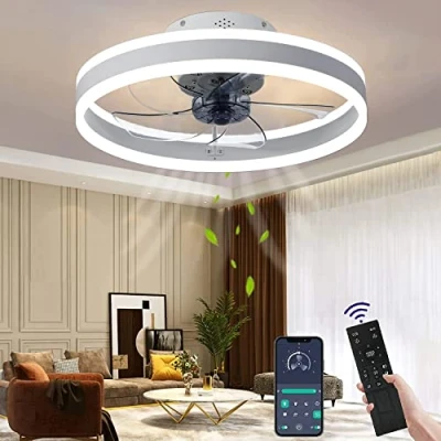 Immagine di Wildcat Ventilatore da soffitto con illuminazione, LED moderno e silenzioso, telecomando, timer, lampada per soggiorno, sala pranzo (colore: bianco, dimensioni: 50 cm)